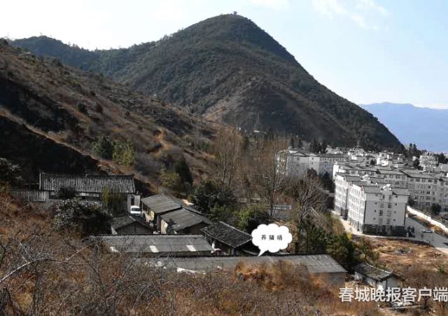 市民報(bào)料：麗江清溪水源二級(jí)保護(hù)區(qū)現(xiàn)養(yǎng)豬場(chǎng) (4)