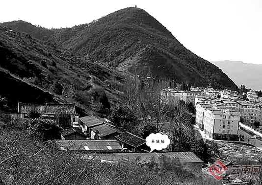 00300396565_9f2b6439 00300396565_9f2b6439