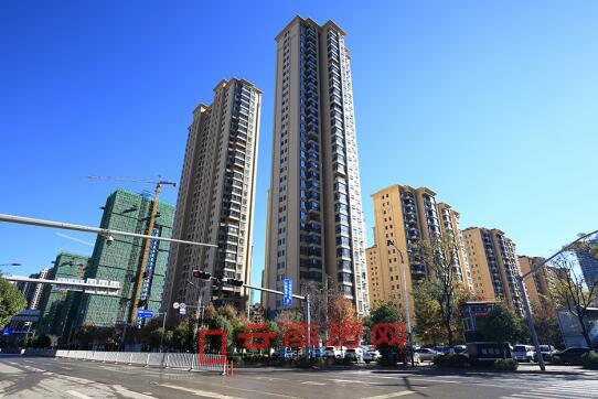 20190213081717_876 20190213081717_876