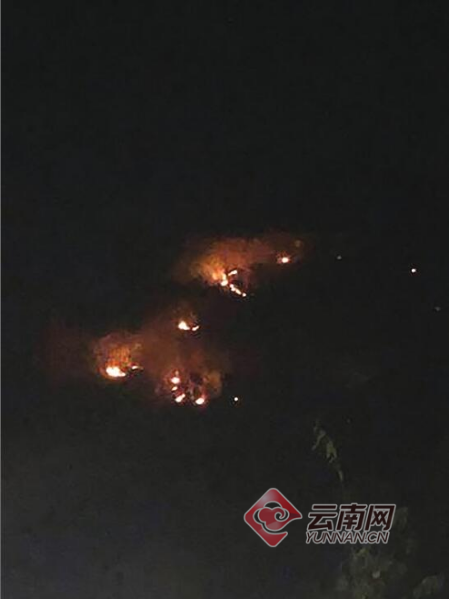 00300399481_81a8c303 00300399481_81a8c303