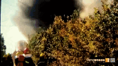 干花加工廠突發(fā)大火2