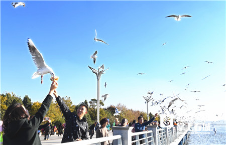 5c60b178cffc2 5c60b178cffc2