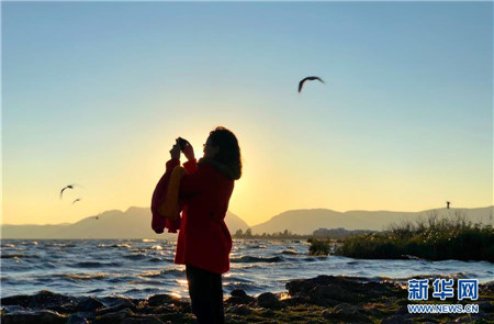 5c56444203776 5c56444203776