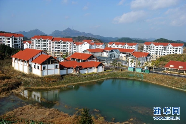 1124123779_15503167626241n