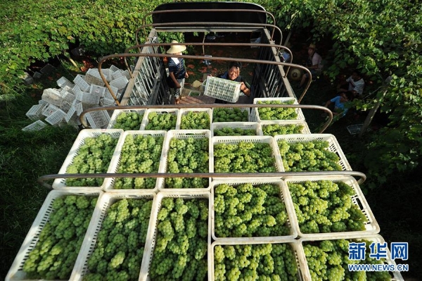 1124123779_15503167626361n