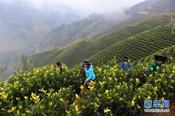 1124123779_15503167626381n