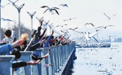 文化消費讓年味兒更濃