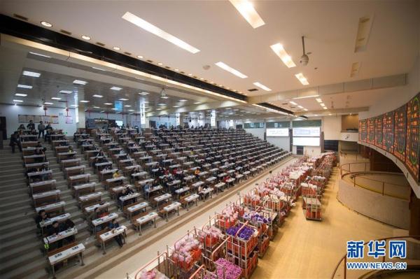 從云南田間到泰國花店——云南鮮花的南洋之旅