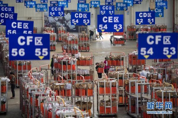 從云南田間到泰國花店——云南鮮花的南洋之旅