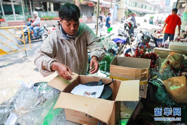 從云南田間到泰國花店——云南鮮花的南洋之旅