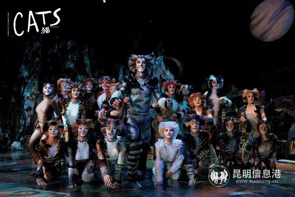 《貓》劇照 (2) 《貓》劇照 (2)