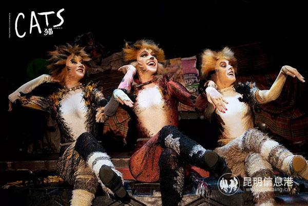 《貓》劇照 《貓》劇照