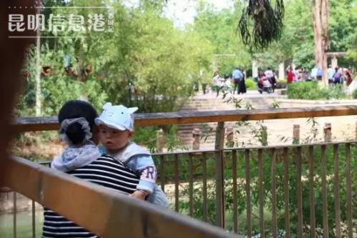 mmexport1550674297985 mmexport1550674297985