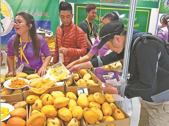 緬甸芒果 緬甸芒果