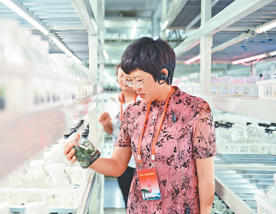 201902230410439355 201902230410439355