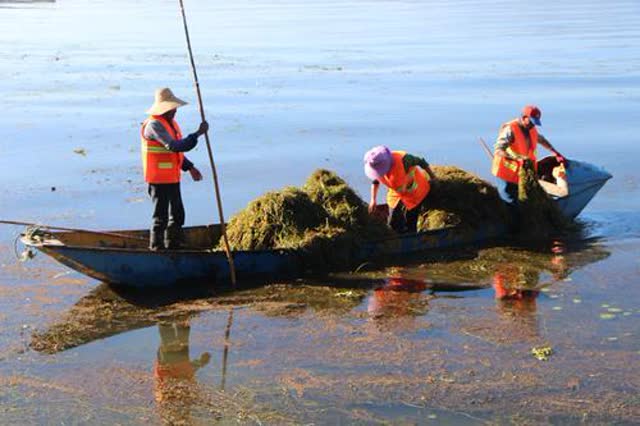 打好“綠色”牌，美麗大理要更美 秦蒙琳攝10