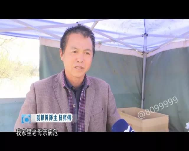 老板留下鷗糧供游客投喂3