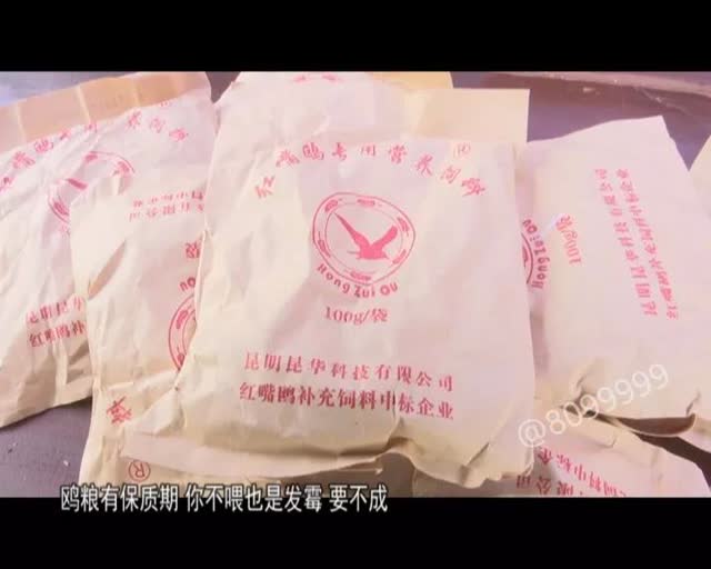 老板留下鷗糧供游客投喂4