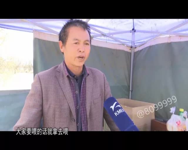 老板留下鷗糧供游客投喂5