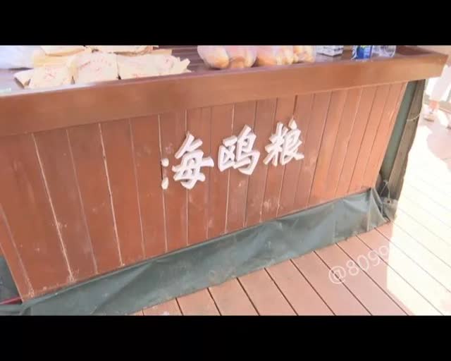 老板留下鷗糧供游客投喂7