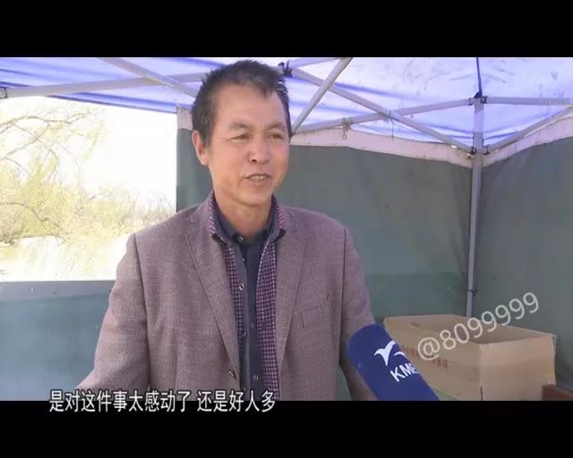 老板留下鷗糧供游客投喂11