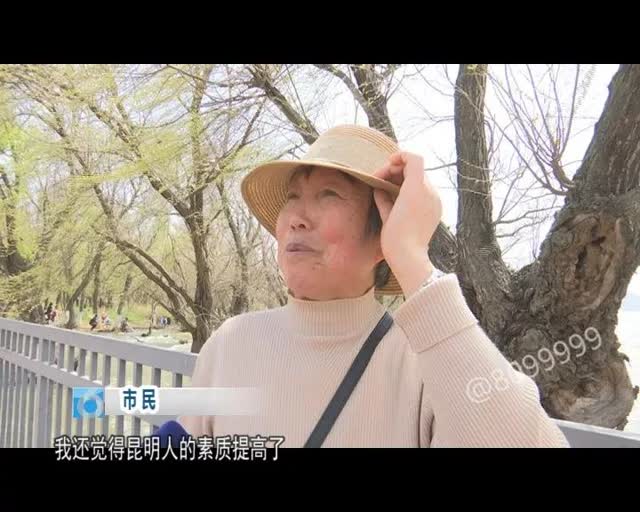 老板留下鷗糧供游客投喂13