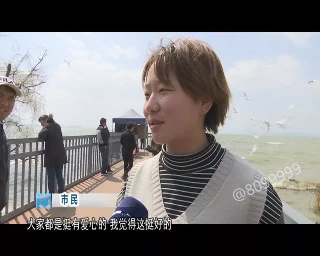 老板留下鷗糧供游客投喂14