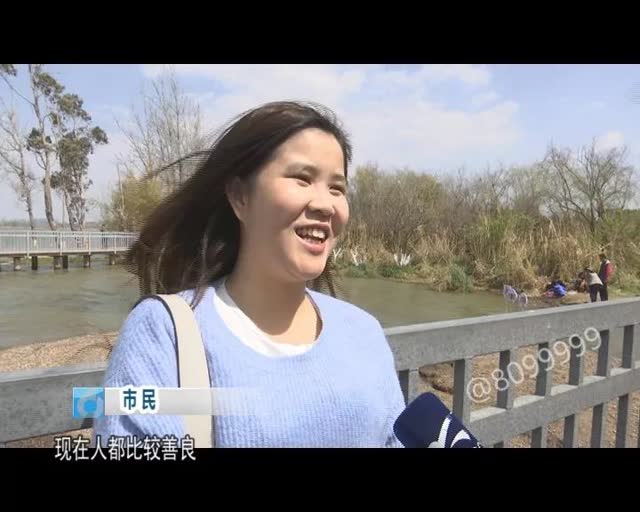 老板留下鷗糧供游客投喂15