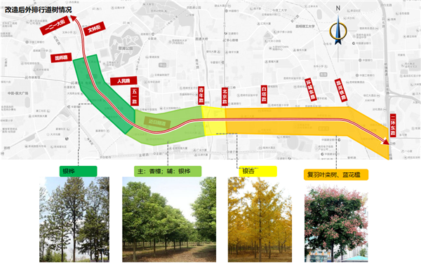 行道樹種類統(tǒng)一 行道樹種類統(tǒng)一