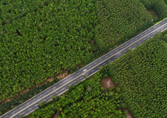 上圖：日前，江西峽江縣玉笥山林場(chǎng)，造林員在挑運(yùn)樹(shù)苗上山。&nbsp;陳福平攝（影像中國(guó)）&nbsp;