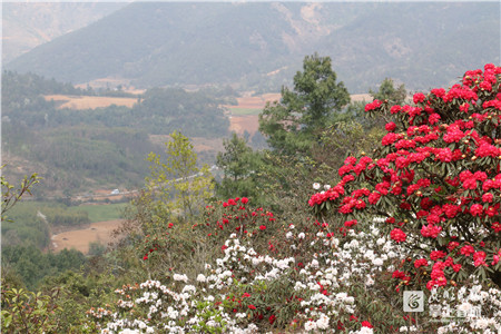 5c74f43cd44d1 5c74f43cd44d1