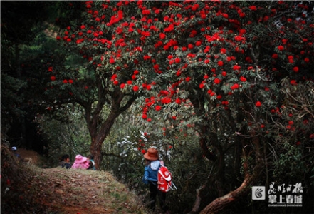 5c74f43d8ce9a 5c74f43d8ce9a