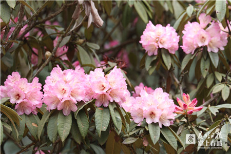 5c74f43d09083 5c74f43d09083