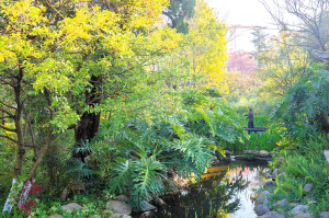 78281551201039062 78281551201039062