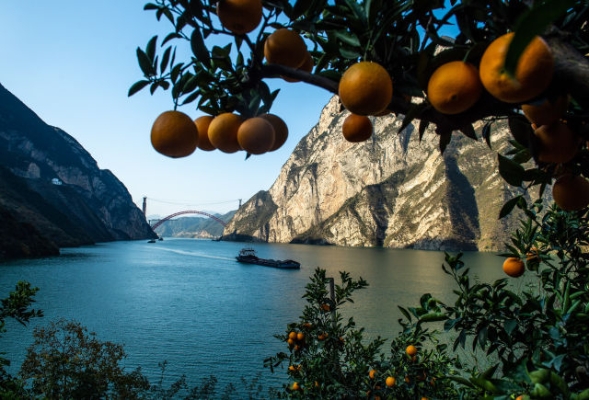 20190227164013_8988.jpg@640w_1e_1c_80Q_1x