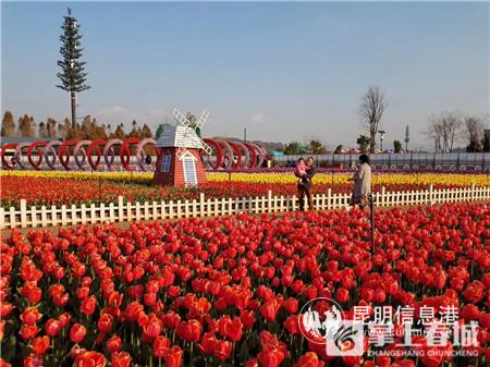 撈魚(yú)河 撈魚(yú)河