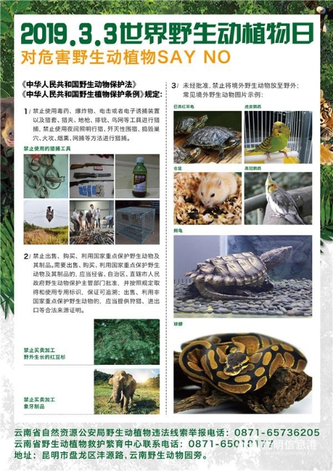 云南野生動物園“對危害野生動植物SAY NO”的主題活動