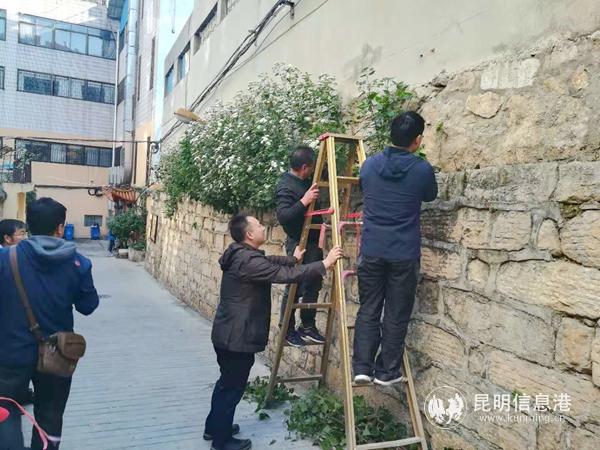 mmexport1551442676247 mmexport1551442676247