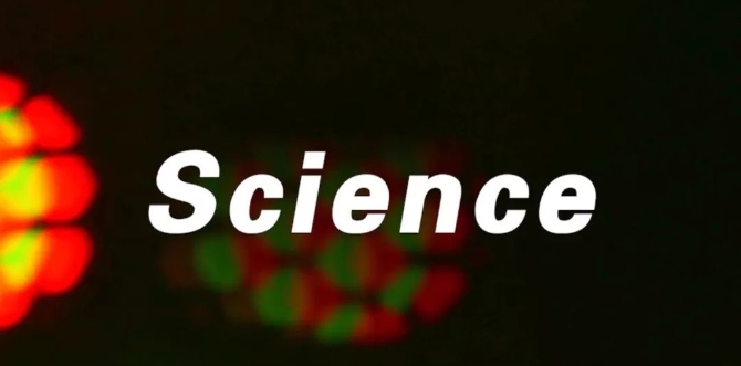 1210072043_15516000895851n 1210072043_15516000895851n