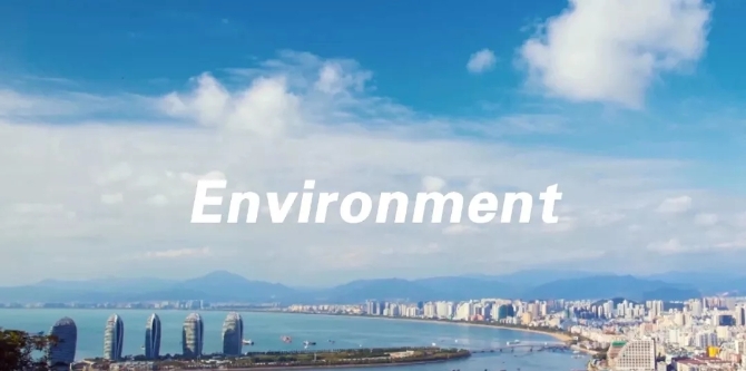 1210072043_15516009346161n 1210072043_15516009346161n