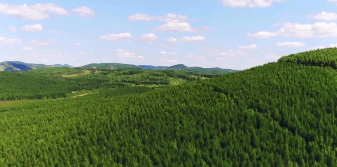 1210072043_15516009587771n 1210072043_15516009587771n