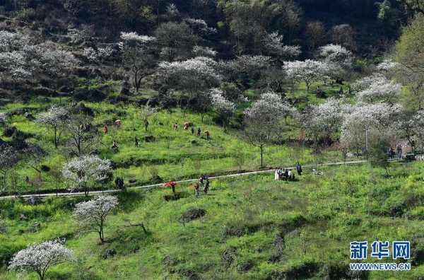 1124191866_15517008602391n