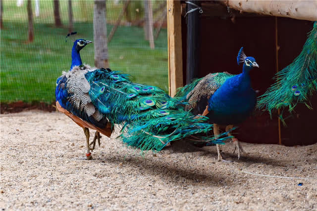 downLoad-20190304202841_副本1