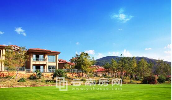 20190305171009_437 20190305171009_437