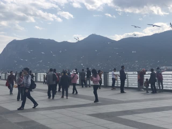 b340b38b-4822-4337-9839-16b50bba2423_w640 b340b38b-4822-4337-9839-16b50bba2423_w640