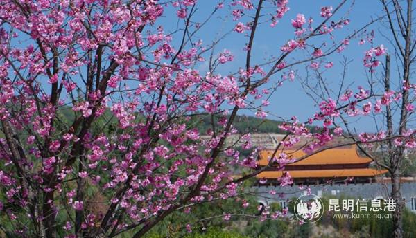 mmexport1552038892499 mmexport1552038892499