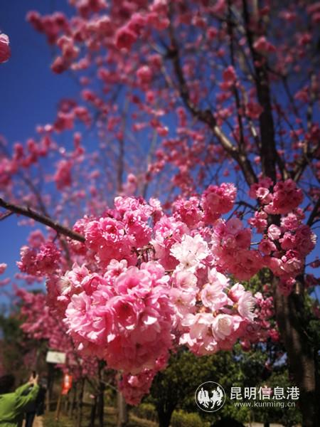 IMG_20190308_113816 IMG_20190308_113816