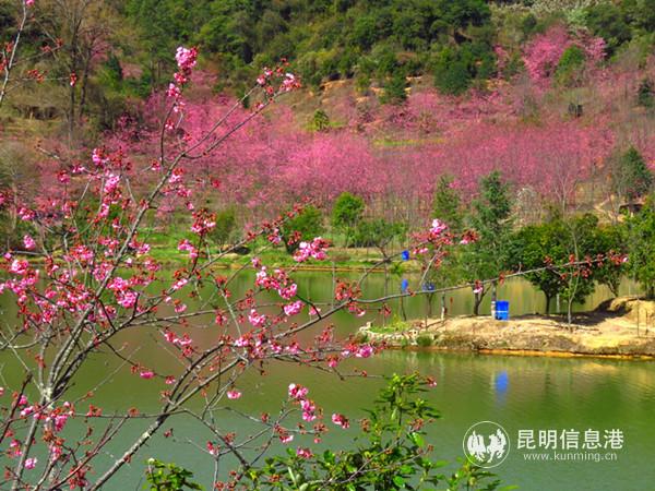 2062483036 2062483036