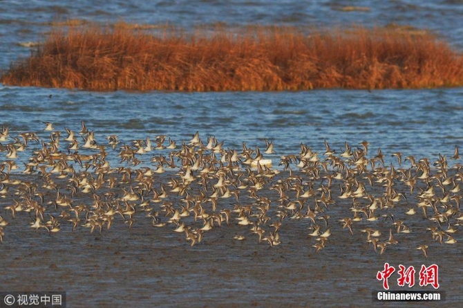 8c466c65375a42d4b9ae491bc1ced68e