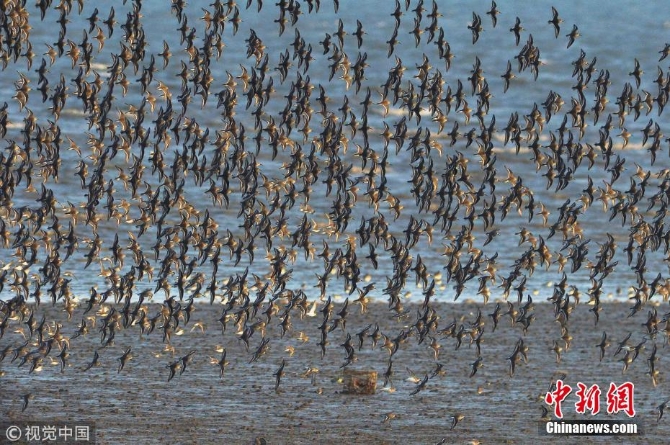 09cac9b97381481d8e3f0e67e778ba69